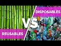 Why Use Reusables Instead of Disposables?