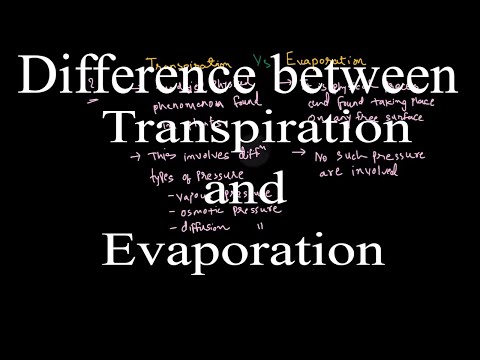 What is the difference between transpiration and evaporation?