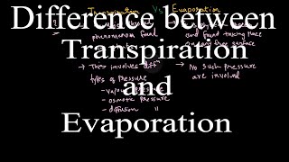 Différence entre l'évaporation et la transpiration