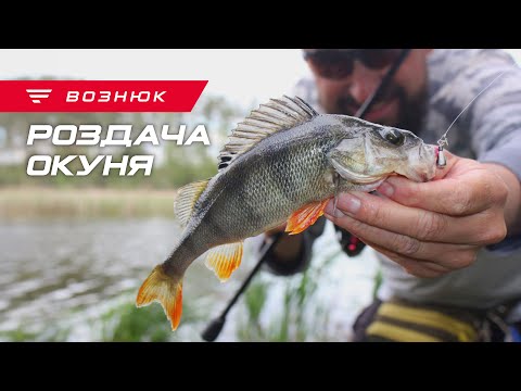 Роздача окуня на мікроджиг! Секретна пасивна проводка.