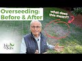 Overseeding Lawn in the Spring Update | Before & After