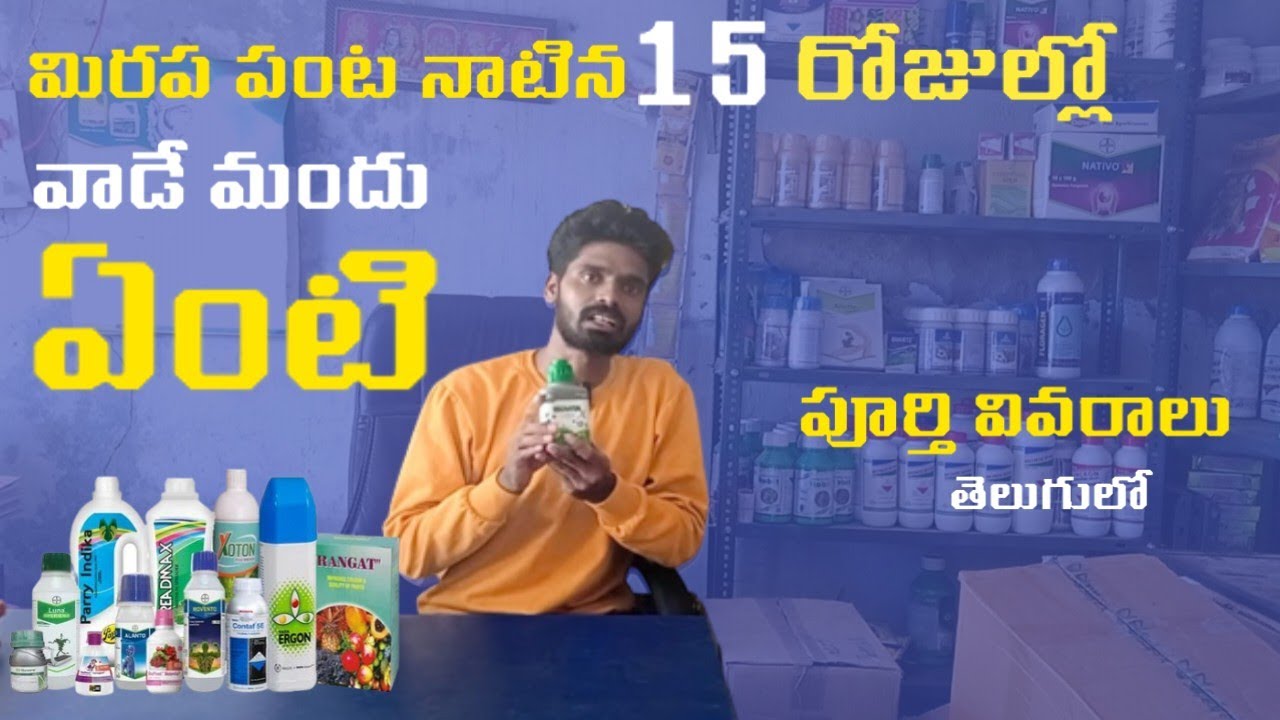 Biovita Use In Chilli Crops Telugu Biovita Telugu Biovita Plant Growth biovita-use-in-chilli-crops-telugu-biovita-telugu-biovita-plant-growth