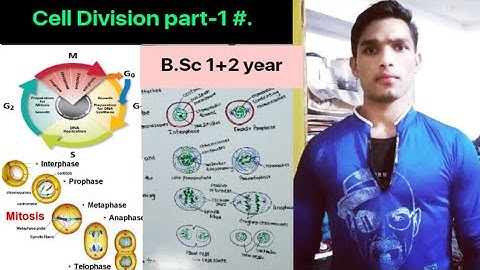 Cell division part-1 || Mitosis and Meiosis || BSc || MSc || PGT Biology