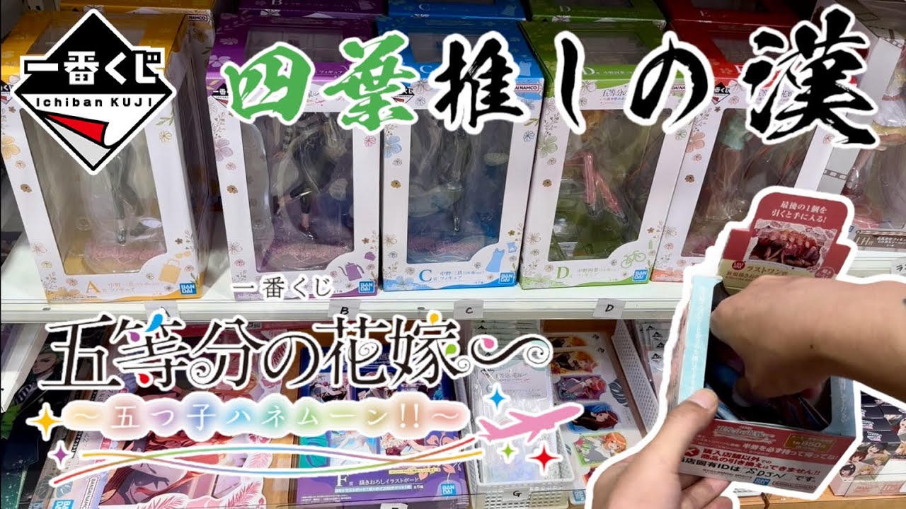 一番くじ】四葉推しの漢！一番くじ 五等分の花嫁∽ ～五つ子ハネムーン 