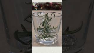 Holiday Drink Hack: Rosemary Christmas Trees in Your Glass  #holidayswithshorts