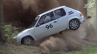 The Best of Rally 2019 | Crash & Mistakes | by La Sangle