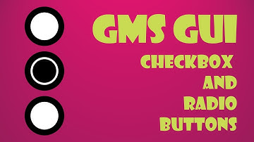Simple GUI Checkbox and Radio Buttons