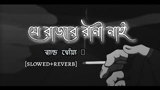 Je Rajar Rani Nai Se Raja Gaja Khay | Lofi Video | Slowed Reverb | Bangla lyrics | Sayerin |