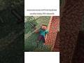 minecraft is emotion 🤌✨ #gaming #minecraft #viral #shorts #trending