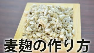 麦麹の作り方 -自宅で簡単レシピ-Making your own malted wheat-