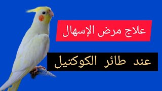 أمراض طيور الكوكتيل الشائعة | مرض الاسهال عند طيور الزينة | Diarrhea Disease In Ornamental Birds