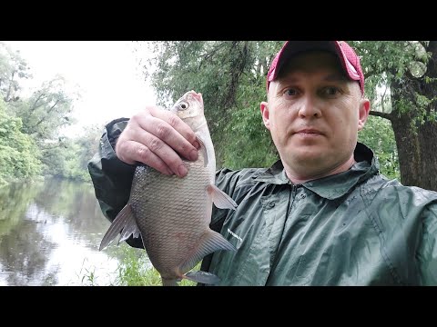 Ловимо ляща на Сулі.