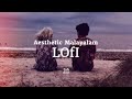 Aesthetic malayalam lofi playlist 