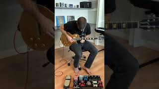 Frippertronics style long delay