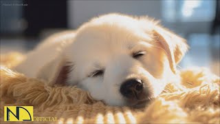 20 HOURS of Dog Sleep Music For Dogs💖🐶Dog Separation Anxiety Relief🐶💖pet music🎵 Healing NadanMusic