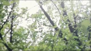 July - 다시 봄 (Spring Again)