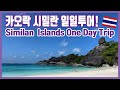 [태국여행]카오락 시밀란섬 일일투어! 와우 안다만(Similan Islands One Day Trip)