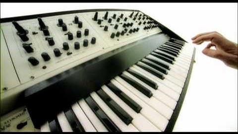 Sander Kleinenberg - The Fruit [Official Video]