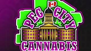 Peg City Cannabis - In the Veg Room with the TNB Co2 Enhancer Canister - My First Auto Plant