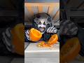 Monster Used Pumpkin To Make A Cup Shorts Monster Used Pumpkin To Make A Cup Shorts
