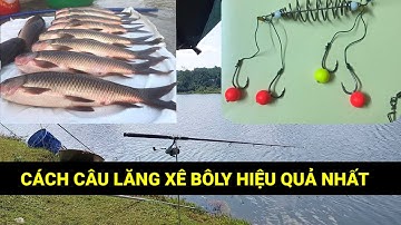 Chia sẻ cách câu lăng xê bô ly và lancer ổ hiệu quả nhất trongchattv