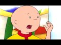 Caillou Wants Attention | Caillou Cartoon