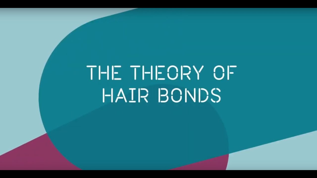 Theory of hair bonds YouTube