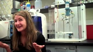 2013/14 PSU Undergraduate Research & Mentoring Program Statements