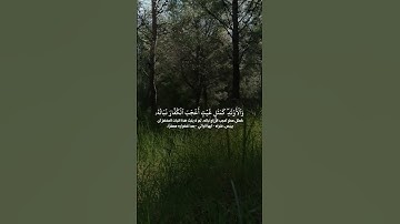 حقارة الدنيا وزيفها في آيات القرآن" #اكسبلور #تيك_توك #المصحف #قران_كريم #لايك #قرآن #راحة_نفسية