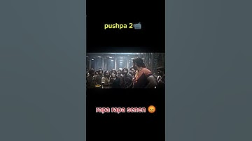pushpa 2 rapa rapa kat dalga allu arjun fight #alluarjun #pushpa2 #reaction
