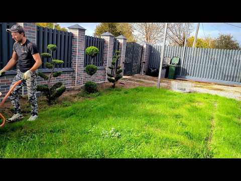 СДЕЛАЛИ КРАСОТУ КРУГОМ: ПРЕОБРАЖЕНИЕ ДВОРА И РЕМОНТ В ДОМЕ 