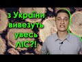 ЗАБОРОНУ на вивезення лісу з України СКАСУЮТЬ!!!