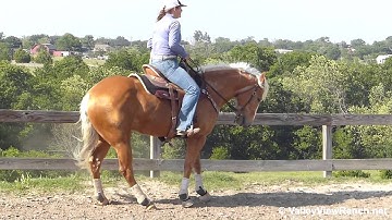 Jamie Lena Bar   ***For info, price, etc., go to our website*** Valley View Ranch