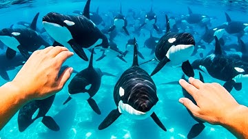 Which ocean would you swim in? 🏊🏻 Satisfying & Relaxing AI ASMR compilation #aiasmr #asmr #sleepasmr