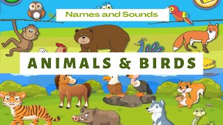 Real Animals and Birds Sound with English Names |animal sounds for kids screenshot 4