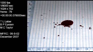 Blood drop falling 50 cm (1st of three drops) | Blood Spatter Analysis