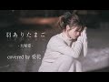 【信じきってみたい。】羽ありたまご/大塚愛 cover