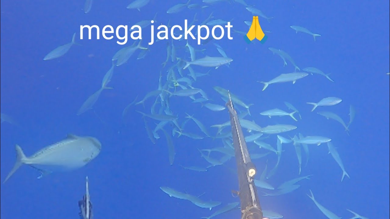 salamat naka jackpot Tayo sa pamamana sa batang😱 ito Ang unli shot