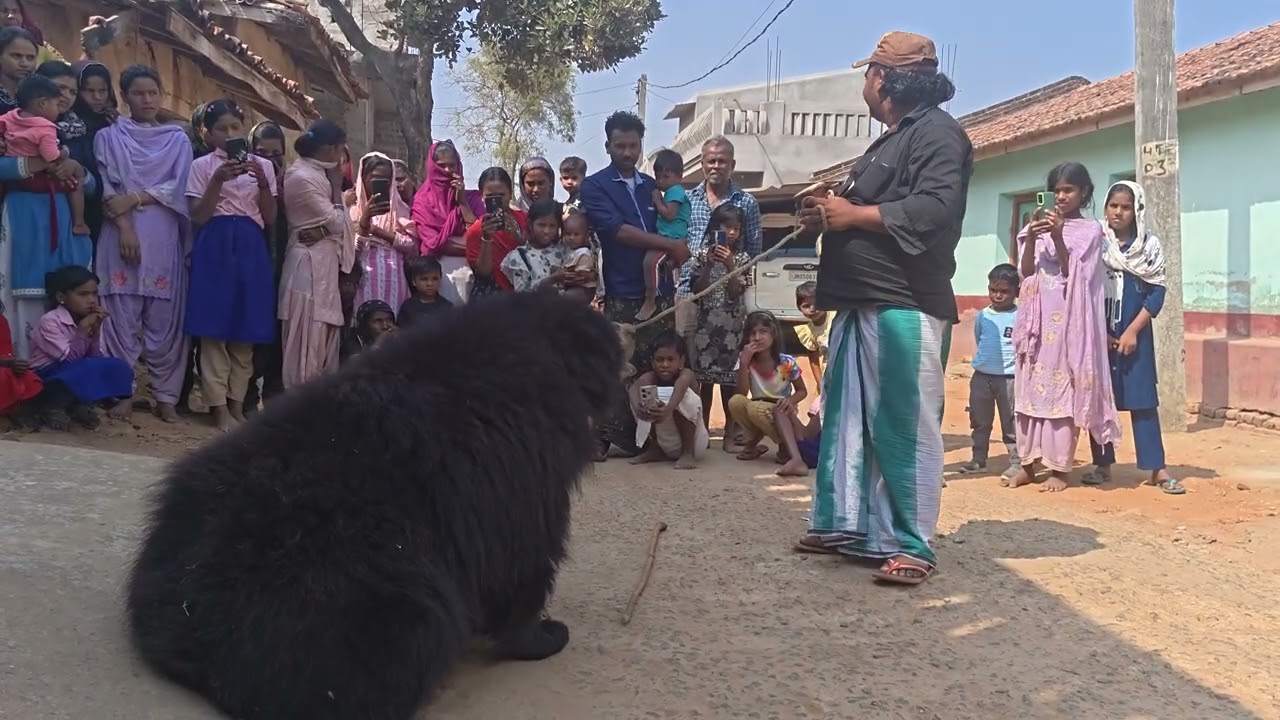 Bhalu Wala video Khatarnak bhalu Wala video bhalu naachne Wala video bhalu khela dikhane wala video 