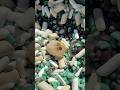 Don’t worry #bee #crystals #nature #bling #boomer #quartz #desert #minerals #outdoors #rocktumbler