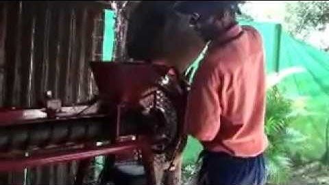 Dehusking Machine for Macadamias Bendigo