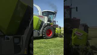 Case 1455XL mit Lely Ladewagen in der Grasernte #farming #landwirtschaft #agri #case #agriculture