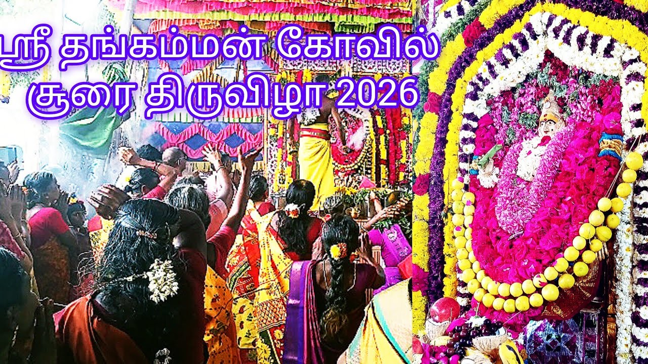 #களக்காடு ஸ்ரீ #தங்கம்மன் கோவில் கொடை விழா 