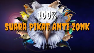 Suara Pikat Semua Jenis Burung Kecil Dan Besar Anti Zonk 2021