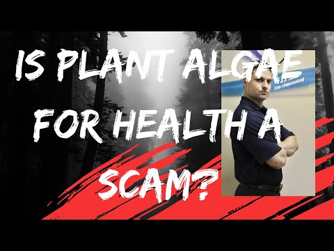 A Dr. is Discussing if Spirulina and Chlorella are Beneficial or Harmful