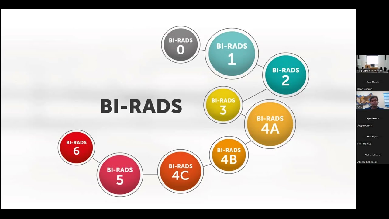 Справа bi rads 2. Birads классификация. Birads 2. Bi rads. Bi-rads II.