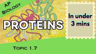 Proteins in Under 3 mins (AP Biology Unit 1 Topic 7) 1.7