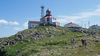 What to do in Bonavista Newfoundland