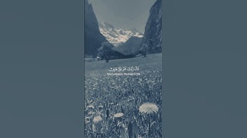 سورة مريم | حالات واتس اب دينية قصيرة مؤثرة
