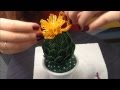 КАКТУС ИЗ БИСЕРА С ОРАНЖЕВЫМ ЦВЕТКОМ. Beaded cactus.